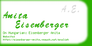 anita eisenberger business card